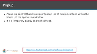 Controls Use in Windows Presentation Foundation (WPF) | PPTX