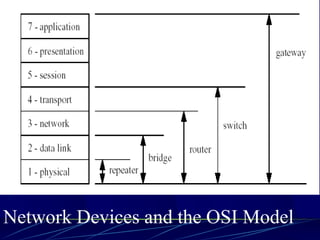 Network Devices and the OSI Model  