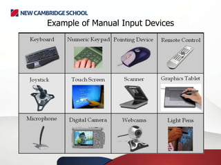 Example of Manual Input Devices
 