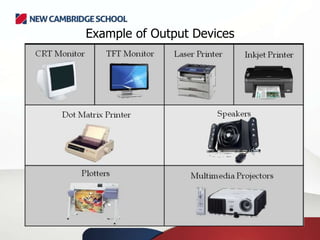 Example of Output Devices
 