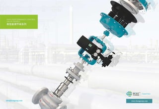 Control valve by BCST