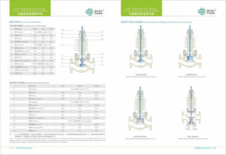 Control valve by BCST