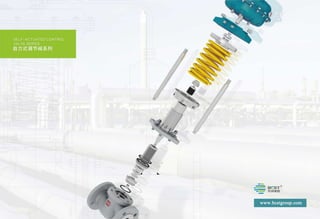 Control valve by BCST