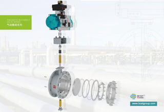 Control valve by BCST