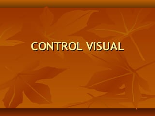 CONTROL VISUAL
 