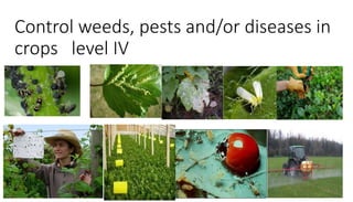 Control weeds, pests and/or diseases in
crops level IV
Prepared by: Abadi Kebede, 2016 1
 
