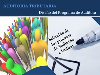 AUDITORIA TRIBUTARIA
             Diseño del Programa de Auditora
 