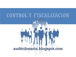 Control y fiscalizacion  2012