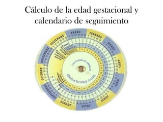 Cálculo de la edad gestacional y
  calendario de seguimiento
 