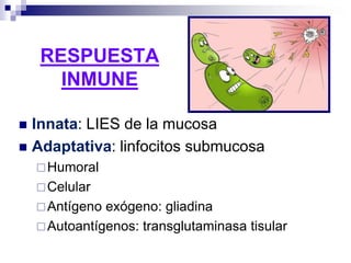 RESPUESTA
INMUNE
 Innata: LIES de la mucosa
 Adaptativa: linfocitos submucosa
Humoral
Celular
Antígeno exógeno: gliadina
Autoantígenos: transglutaminasa tisular
 