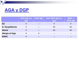 AGA y DGP
AGA IgG y/o
IgA
AGA IgE Anti DGP IgG y/o
IgA
EMA y
ATGt IgA
EC + - + +
D. Herpetiforme + - +/- +/-
Ataxia + - +/- +/-
Alergia al trigo + + - -
SGNC + - - -
 