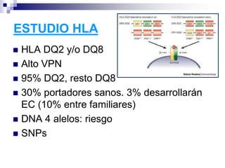 ESTUDIO HLA
 HLA DQ2 y/o DQ8
 Alto VPN
 95% DQ2, resto DQ8
 30% portadores sanos. 3% desarrollarán
EC (10% entre familiares)
 DNA 4 alelos: riesgo
 SNPs
 
