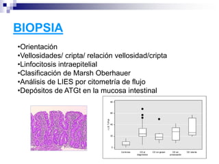 BIOPSIA
•Orientación
•Vellosidades/ cripta/ relación vellosidad/cripta
•Linfocitosis intraepitelial
•Clasificación de Marsh Oberhauer
•Análisis de LIES por citometría de flujo
•Depósitos de ATGt en la mucosa intestinal
 