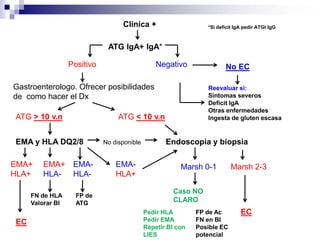 Clinica +
ATG IgA+ IgA*
Positivo Negativo
*Si deficit IgA pedir ATGt IgG
No EC
Reevaluar si:
Sintomas severos
Deficit IgA
Otras enfermedades
Ingesta de gluten escasa
Gastroenterologo. Ofrecer posibilidades
de como hacer el Dx
ATG > 10 v.n ATG < 10 v.n
EMA y HLA DQ2/8 Endoscopia y biopsiaNo disponible
EMA+
HLA+
EMA+
HLA-
EMA-
HLA+
EMA-
HLA-
Marsh 0-1 Marsh 2-3
EC
FN de HLA
Valorar BI
EC
FP de
ATG
FP de Ac
FN en BI
Posible EC
potencial
Caso NO
CLARO
Pedir HLA
Pedir EMA
Repetir BI con
LIES
 