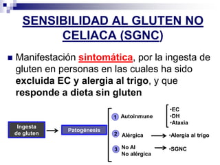 SENSIBILIDAD AL GLUTEN NO
CELIACA (SGNC)
 Manifestación sintomática, por la ingesta de
gluten en personas en las cuales ha sido
excluida EC y alergia al trigo, y que
responde a dieta sin gluten
Ingesta
de gluten
Patogénesis
Autoinmune
Alérgica
No AI
No alérgica
•EC
•DH
•Ataxia
•Alergia al trigo
•SGNC
1
2
3
 