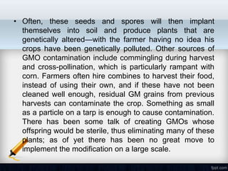 • Often, these seeds and spores will then implant
  themselves into soil and produce plants that are
  genetically altered—with the farmer having no idea his
  crops have been genetically polluted. Other sources of
  GMO contamination include commingling during harvest
  and cross-pollination, which is particularly rampant with
  corn. Farmers often hire combines to harvest their food,
  instead of using their own, and if these have not been
  cleaned well enough, residual GM grains from previous
  harvests can contaminate the crop. Something as small
  as a particle on a tarp is enough to cause contamination.
  There has been some talk of creating GMOs whose
  offspring would be sterile, thus eliminating many of these
  plants; as of yet there has been no great move to
  implement the modification on a large scale.
 