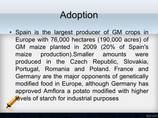Adoption
• Spain is the largest producer of GM crops in
  Europe with 76,000 hectares (190,000 acres) of
  GM maize planted in 2009 (20% of Spain's
  maize production).Smaller amounts were
  produced in the Czech Republic, Slovakia,
  Portugal, Romania and Poland. France and
  Germany are the major opponents of genetically
  modified food in Europe, although Germany has
  approved Amflora a potato modified with higher
  levels of starch for industrial purposes
 
