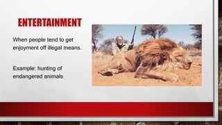 ENTERTAINMENT
When people tend to get
enjoyment off illegal means.
Example: hunting of
endangered animals
 