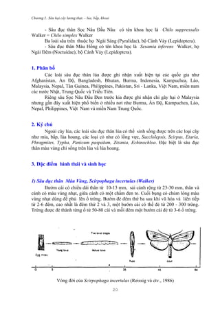 Contrungnongnghiep | PDF