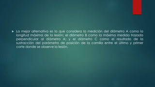  La mejor alternativa es la que considera la medición del diámetro A como la
longitud máxima de la lesión; el diámetro B como la máxima medida trazada
perpendicular al diámetro A; y el diámetro C como el resultado de la
sustracción del parámetro de posición de la camilla entre el último y primer
corte donde se observe la lesión.
 