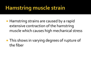  Hamstring strains are caused by a rapid
extensive contraction of the hamstring
muscle which causes high mechanical stress
 This shows in varying degrees of rupture of
the fiber
 