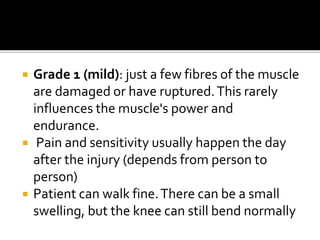  Grade 1 (mild): just a few fibres of the muscle
are damaged or have ruptured.This rarely
influences the muscle's power and
endurance.
 Pain and sensitivity usually happen the day
after the injury (depends from person to
person)
 Patient can walk fine.There can be a small
swelling, but the knee can still bend normally
 