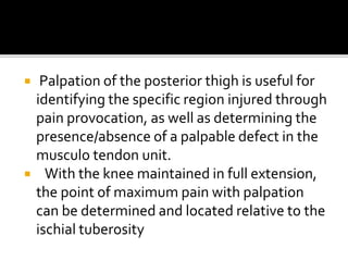  Palpation of the posterior thigh is useful for
identifying the specific region injured through
pain provocation, as well as determining the
presence/absence of a palpable defect in the
musculo tendon unit.
 With the knee maintained in full extension,
the point of maximum pain with palpation
can be determined and located relative to the
ischial tuberosity
 