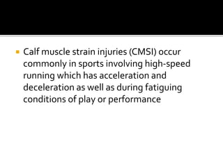  Calf muscle strain injuries (CMSI) occur
commonly in sports involving high-speed
running which has acceleration and
deceleration as well as during fatiguing
conditions of play or performance
 