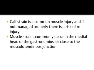  Calf strain is a common muscle injury and if
not managed properly there is a risk of re-
injury
 Muscle strains commonly occur in the medial
head of the gastronemius or close to the
musculotendinous junction.
 