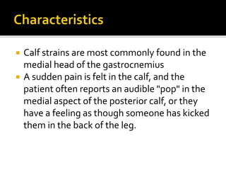  Calf strains are most commonly found in the
medial head of the gastrocnemius
 A sudden pain is felt in the calf, and the
patient often reports an audible "pop" in the
medial aspect of the posterior calf, or they
have a feeling as though someone has kicked
them in the back of the leg.
 