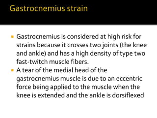  Gastrocnemius is considered at high risk for
strains because it crosses two joints (the knee
and ankle) and has a high density of type two
fast-twitch muscle fibers.
 A tear of the medial head of the
gastrocnemius muscle is due to an eccentric
force being applied to the muscle when the
knee is extended and the ankle is dorsiflexed
 