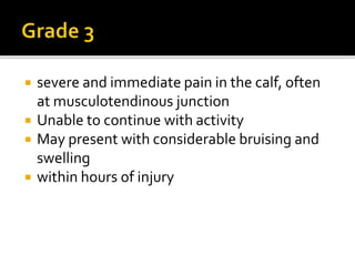  severe and immediate pain in the calf, often
at musculotendinous junction
 Unable to continue with activity
 May present with considerable bruising and
swelling
 within hours of injury
 