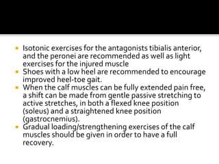  Isotonic exercises for the antagonists tibialis anterior,
and the peronei are recommended as well as light
exercises for the injured muscle
 Shoes with a low heel are recommended to encourage
improved heel-toe gait.
 When the calf muscles can be fully extended pain free,
a shift can be made from gentle passive stretching to
active stretches, in both a flexed knee position
(soleus) and a straightened knee position
(gastrocnemius).
 Gradual loading/strengthening exercises of the calf
muscles should be given in order to have a full
recovery.
 