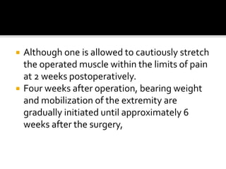  Although one is allowed to cautiously stretch
the operated muscle within the limits of pain
at 2 weeks postoperatively.
 Four weeks after operation, bearing weight
and mobilization of the extremity are
gradually initiated until approximately 6
weeks after the surgery,
 