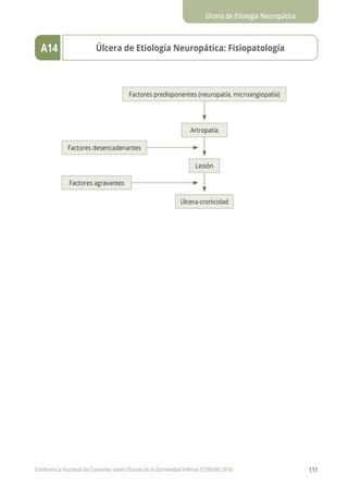 Úlcera de Etiología Neuropática
Conferencia Nacional de Consenso sobre Úlceras de la Extremidad Inferior (CONUEI) 2018 111
Úlcera de Etiología Neuropática: FisiopatologíaA14
Factores predisponentes (neuropatía, microangiopatía)
Factores desencadenantes
Factores agravantes
Artropatía
Lesión
Úlcera-cronicidad
 