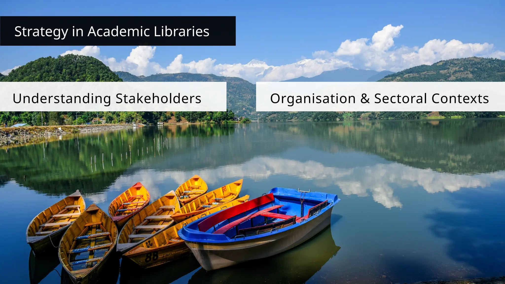 Strategy in Academic Libraries
Understanding Stakeholders Organisation & Sectoral Contexts