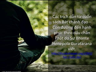 Các	trích	dẫn	từ	cuốn	
sách	Bát	chánh	đạo	–	
Con	đường	đến	hạnh	
phúc	theo	dấu	chân	
Phật	do	Sư	Bhante	
Henepola	Guratarana	
viết.	
hHp://thuvienhoasen.org/a3942/
bat-chanh-dao		
cc:	HckySo	-	h+ps://www.ﬂickr.com/photos/54191388@N00	
 