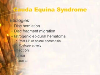 Conus medullaris and cauda equina syndromes | PPT - Flea Powder For Cats With Cauda Equina Syndromes