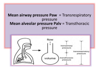 Mean airway pressure Paw = Transrespiratory
pressure
Mean alveolar pressure Palv = Transthoracic
pressure
 