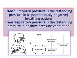 Transpulmonary pressure is the distending
pressure in a spontaneously(negative)
breathing patient
Transrespiratory pressure is the distending
pressure in positive pressure ventilation
 