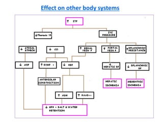 Effect on other body systems
 