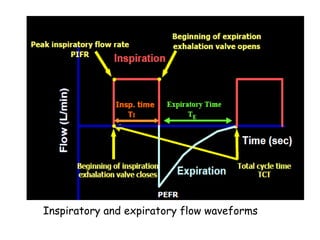 Inspiratory and expiratory flow waveforms
 