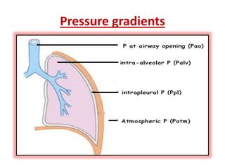 Pressure gradients
 