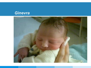 Ginevra 
