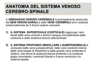 ANATOMIA DEL SISTEMA VENOSO
CEREBRO-SPINALE
IL DRENAGGIO VENOSO CEREBRALE è principalmente assicurato
dai SENI VENOSI DURALI e dalle VENE CEREBRALI ed è costituito
sostanzialmente da 2 diversi sistemi vascolari:
1) IL SISTEMA SUPERFICIALE (CORTICALE) raggiunge i seni
durali dalle vene corticali e drena il sangue principalmente dalla
corteccia e dalla sostanza bianca sottocorticale.
2) IL SISTEMA PROFONDO (MIDOLLARE e SUBEPENDIMALE) è
composto dalle vene subependimali, dalle vene cerebrali interne,
dalla vena basale di Rosenthal e dalla grande vena cerebrale di
Galeno, che drena la sostanza bianca profonda e la sostanza
grigia circondante i ventricoli laterali e il terzo ventricolo o la
cisterna basale.
 