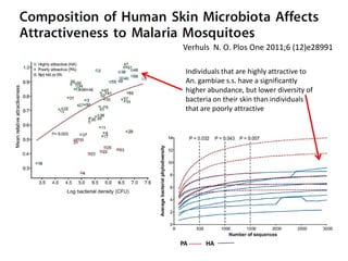 Verhuls N. O. Plos One 2011;6 (12)e28991
Individuals that are highly attractive to
An. gambiae s.s. have a significantly
higher abundance, but lower diversity of
bacteria on their skin than individuals
that are poorly attractive
PA ------ HA
 