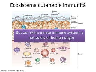 Nat. Rev. Immunol. 2009;9:687
Ecosistema cutaneo e immunità
But our skin’s innate immune system is
not solely of human origin
 