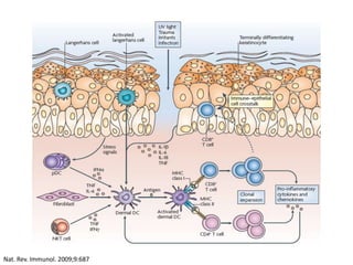 Nat. Rev. Immunol. 2009;9:687
 