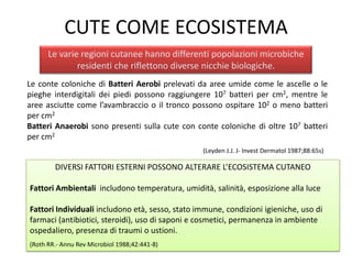 CUTE COME ECOSISTEMA
Le varie regioni cutanee hanno differenti popolazioni microbiche
residenti che riflettono diverse nicchie biologiche.
Le conte coloniche di Batteri Aerobi prelevati da aree umide come le ascelle o le
pieghe interdigitali dei piedi possono raggiungere 107 batteri per cm2, mentre le
aree asciutte come l’avambraccio o il tronco possono ospitare 102 o meno batteri
per cm2
Batteri Anaerobi sono presenti sulla cute con conte coloniche di oltre 107 batteri
per cm2
(Leyden J.J. J- Invest Dermatol 1987;88:65s)
DIVERSI FATTORI ESTERNI POSSONO ALTERARE L’ECOSISTEMA CUTANEO
Fattori Ambientali includono temperatura, umidità, salinità, esposizione alla luce
Fattori Individuali includono età, sesso, stato immune, condizioni igieniche, uso di
farmaci (antibiotici, steroidi), uso di saponi e cosmetici, permanenza in ambiente
ospedaliero, presenza di traumi o ustioni.
(Roth RR.- Annu Rev Microbiol 1988;42:441-8)
 