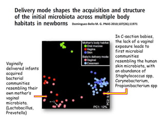 Vaginally
delivered infants
acquired
bacterial
communities
resembling their
own mother’s
vaginal
microbiota.
(Lactobacillus,
Prevotella)
In C-section babies,
the lack of a vaginal
exposure leads to
first microbial
communities
resembling the human
skin microbiota, with
an abundance of
Staphylococcus spp,
Corynebacterium,
Propionibacterium spp
Dominguez-Bello M. G. PNAS 2010;107(26);11971
 